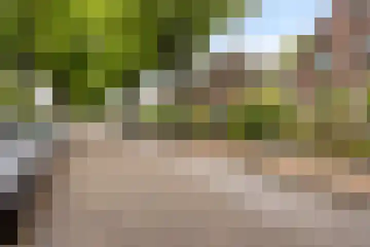 Floraliastraat 67 Oss thumbnail 33