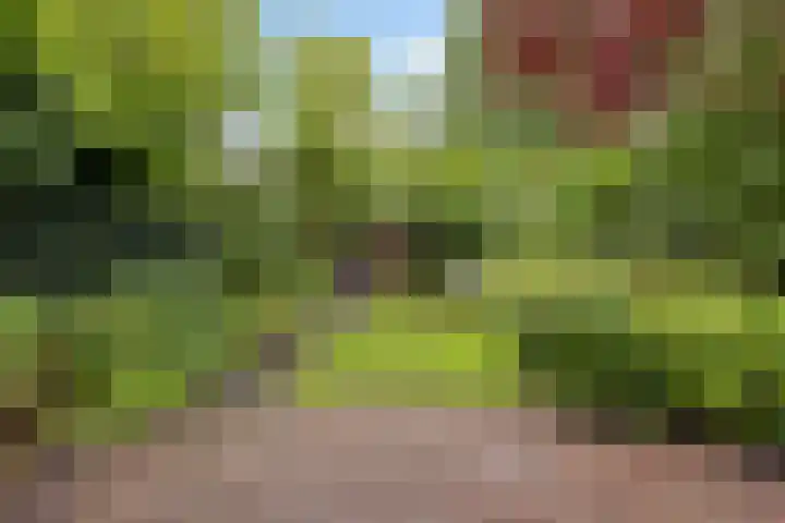 Floraliastraat 67 Oss thumbnail 4