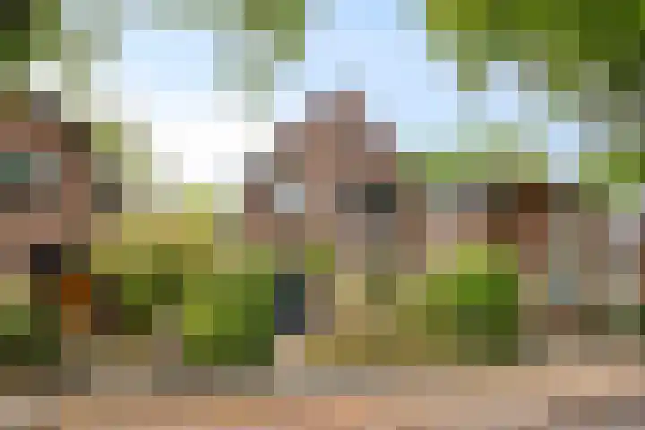 Floraliastraat 67 Oss thumbnail 5
