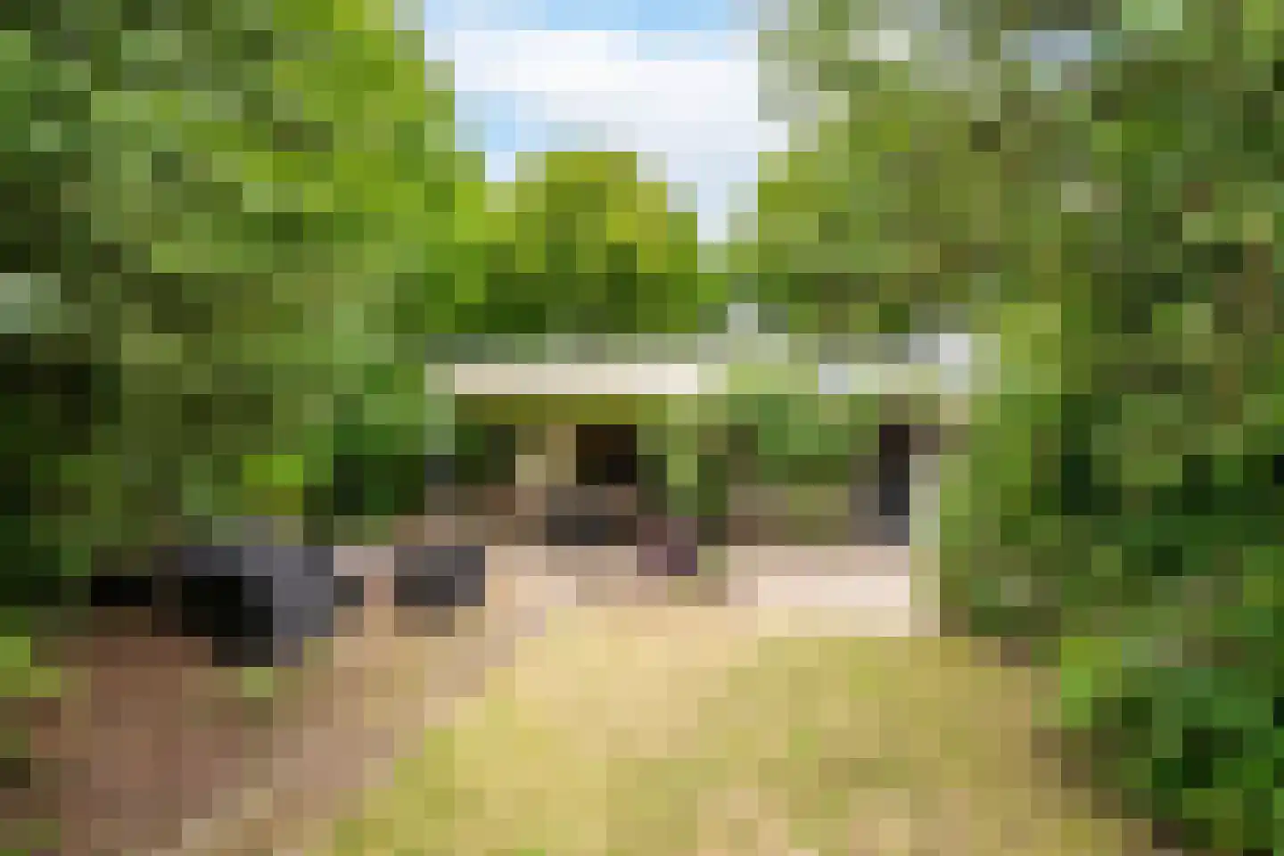 Floraliastraat 78 A Oss thumbnail 19