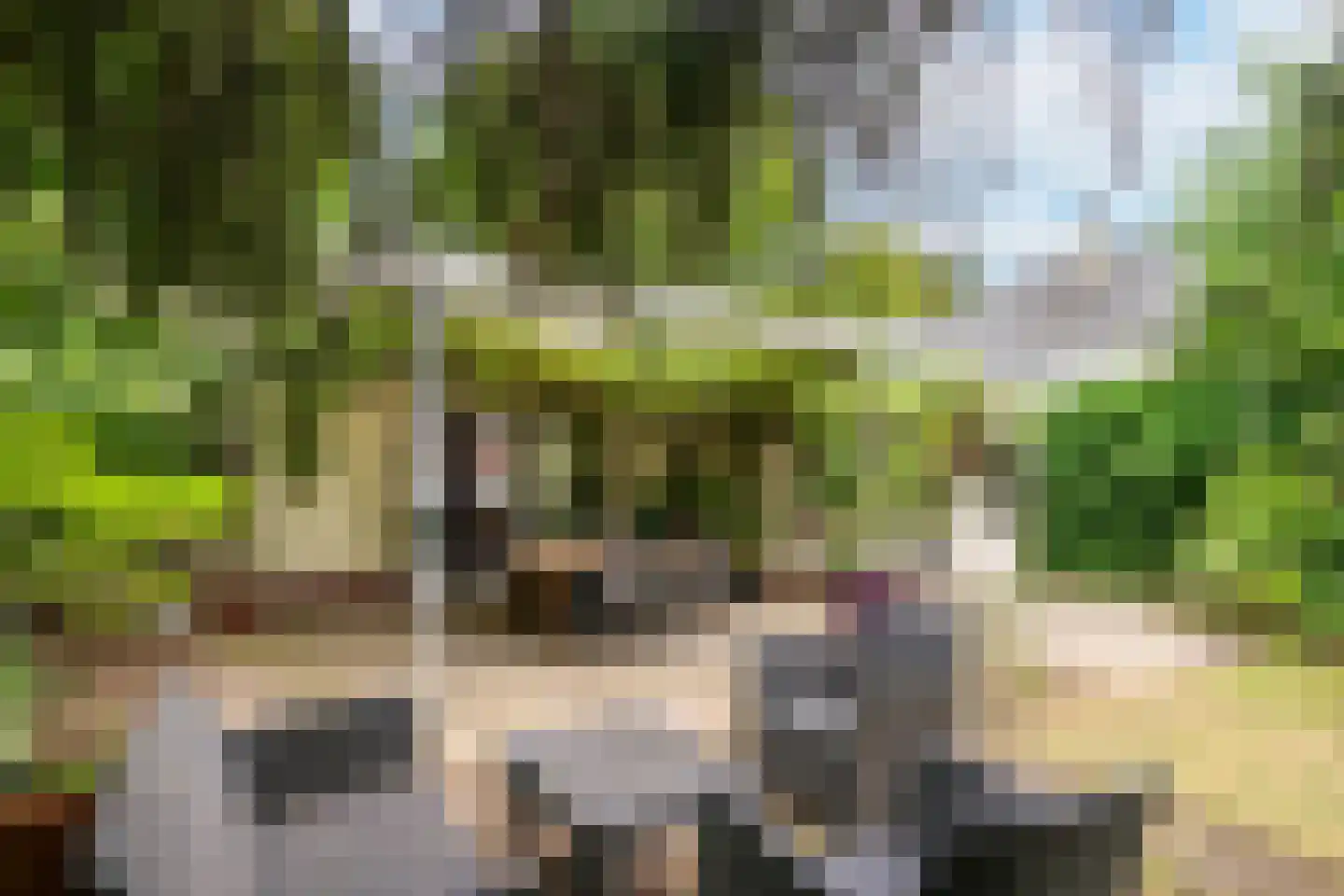 Floraliastraat 78 A Oss thumbnail 20