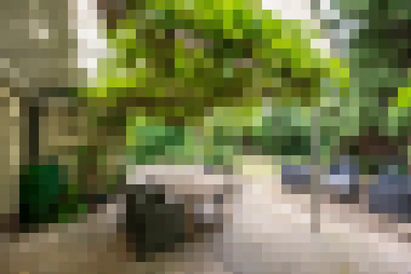 Floraliastraat 78 A Oss thumbnail 21