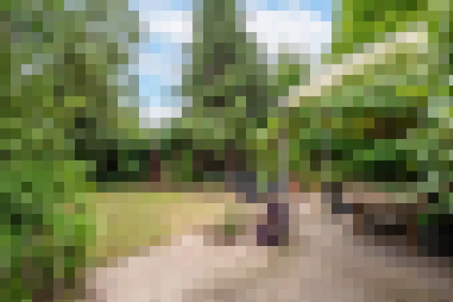 Floraliastraat 78 A Oss thumbnail 22