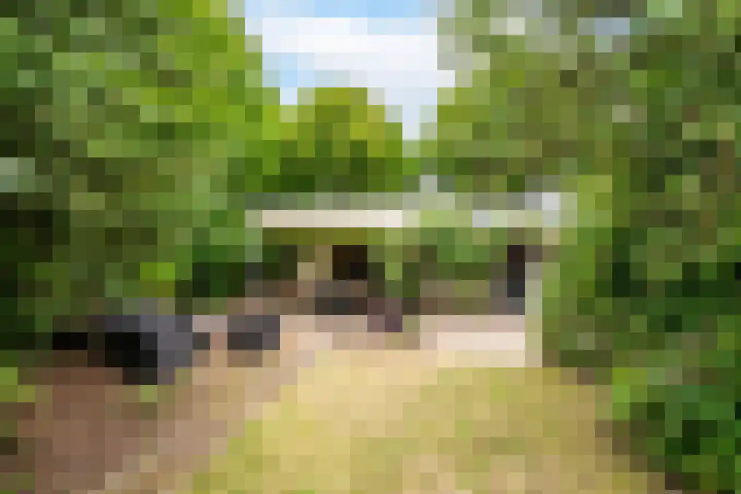 Floraliastraat 78 A Oss thumbnail 4