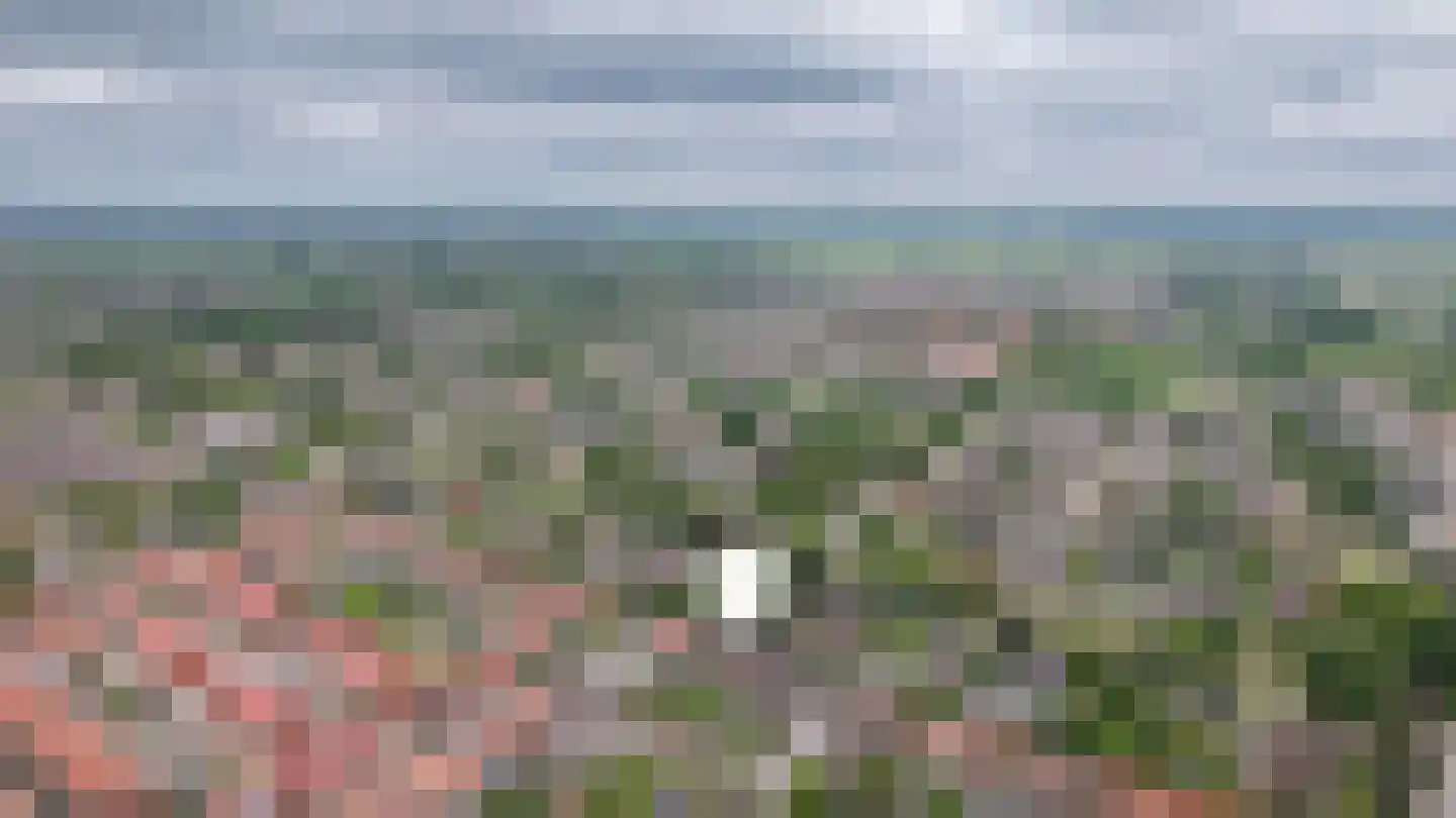 Floraliaweg 30 b Culemborg thumbnail 45