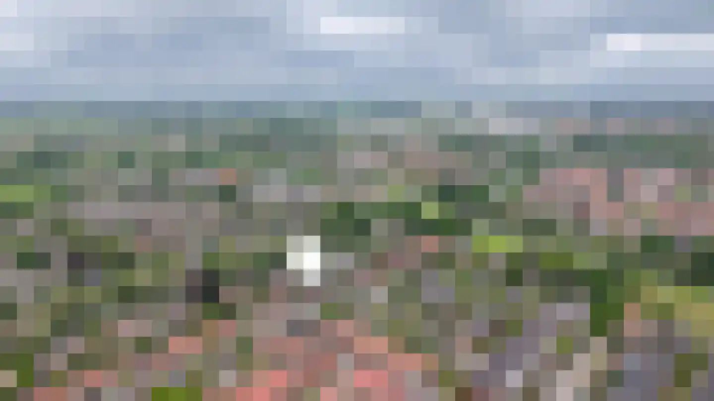 Floraliaweg 30 b Culemborg thumbnail 46