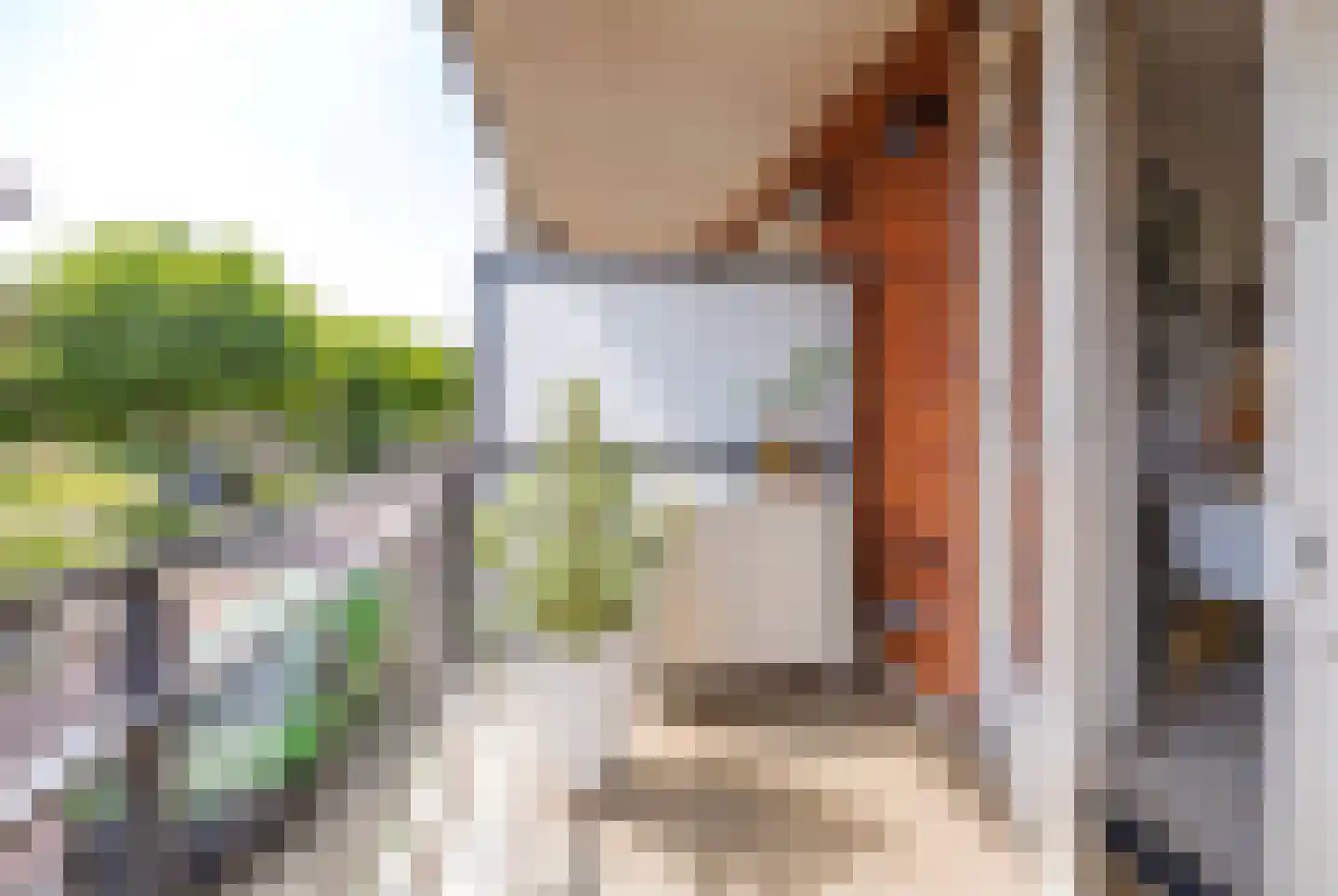 Floralisplein 25 Lisse thumbnail 37