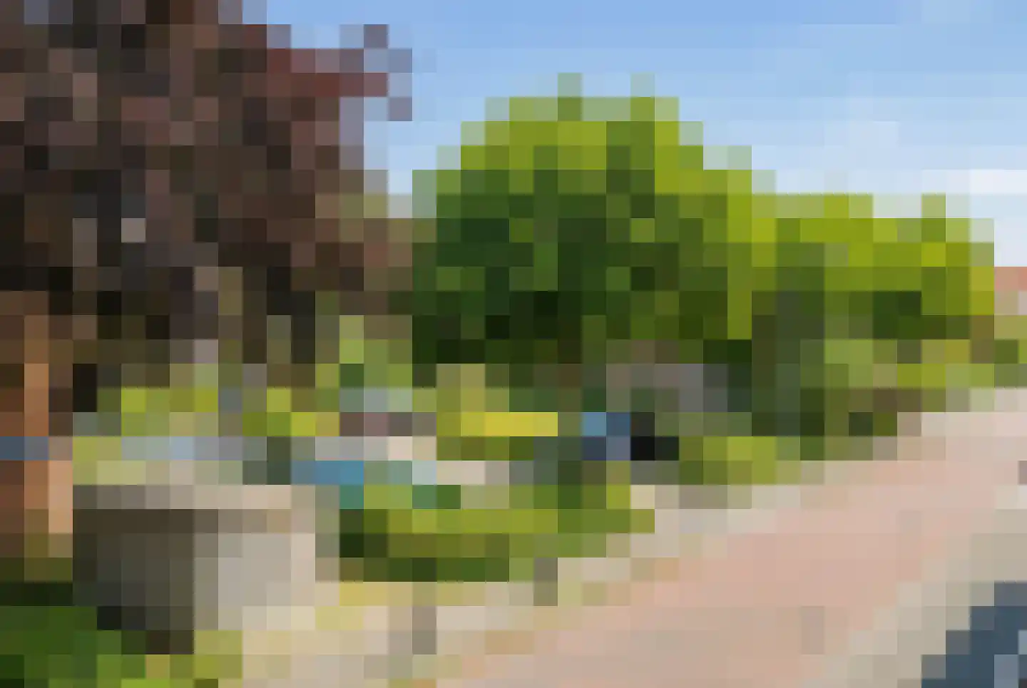 Floralisplein 25 Lisse thumbnail 43