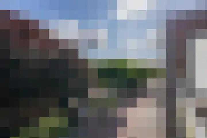 Floralisplein 49 Lisse thumbnail 26
