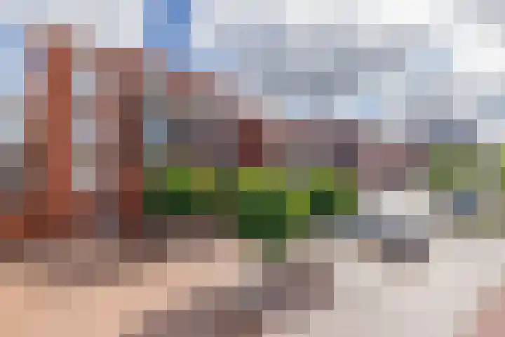 Floralisplein 49 Lisse thumbnail 29