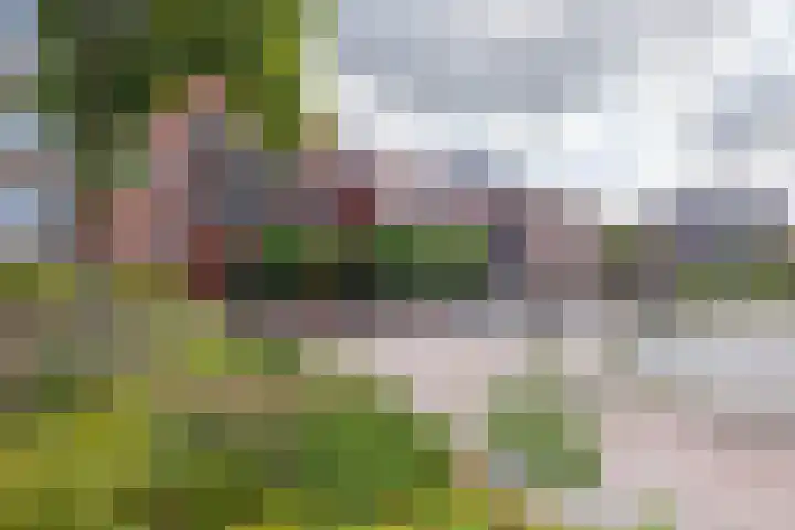 Floralisplein 49 Lisse thumbnail 33