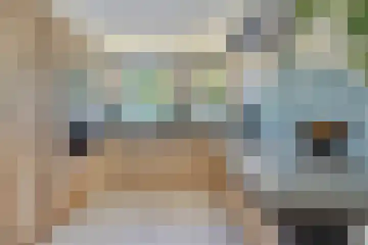 Florapad 18 Velserbroek thumbnail 13