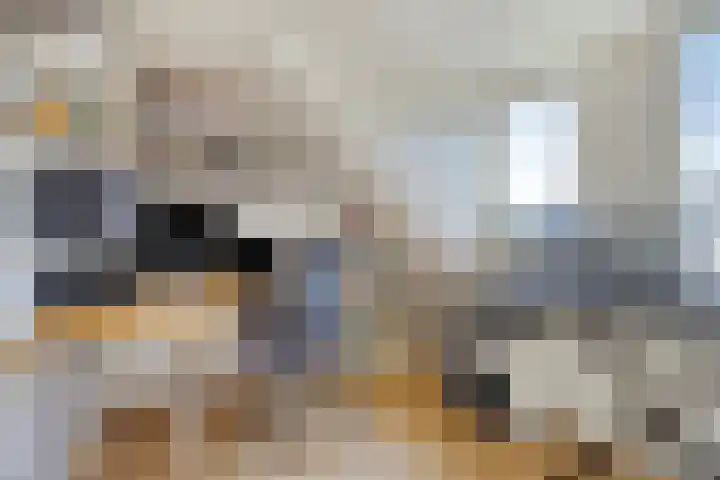 Florapad 18 Velserbroek thumbnail 31