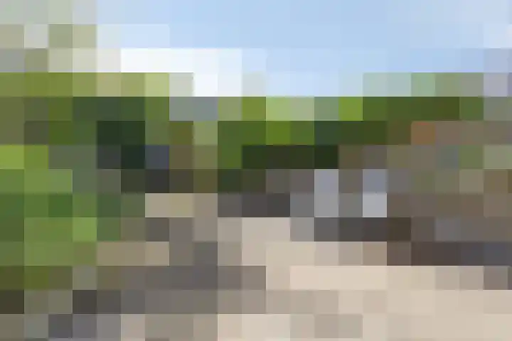 Florapad 18 Velserbroek thumbnail 34
