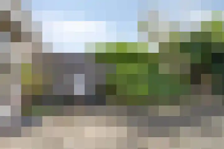 Florapad 18 Velserbroek thumbnail 35