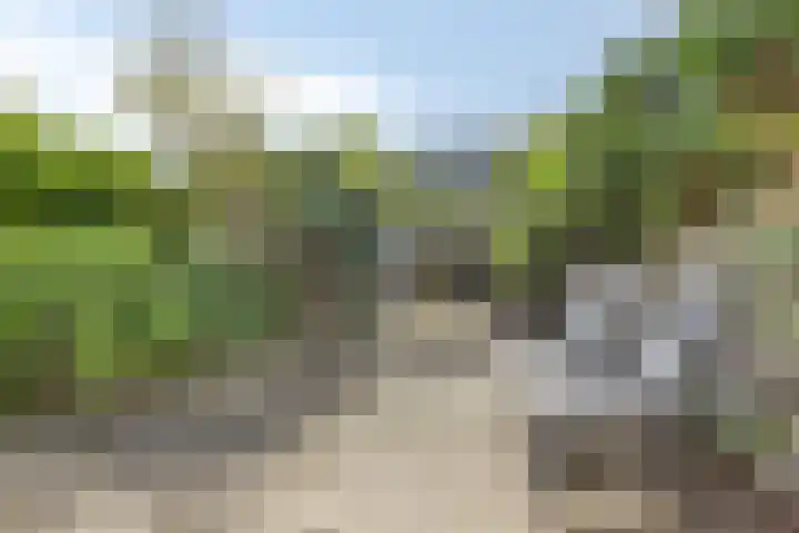 Florapad 18 Velserbroek thumbnail 37
