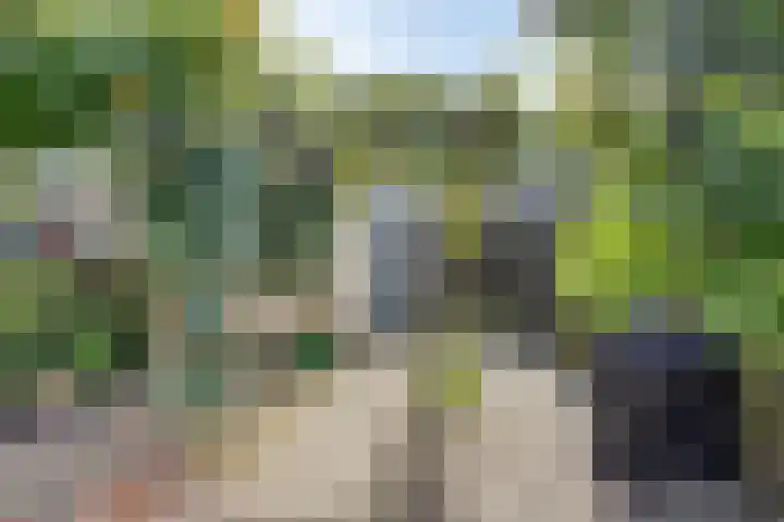 Florapad 18 Velserbroek thumbnail 38