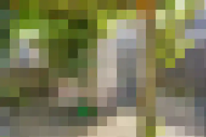 Florapad 18 Velserbroek thumbnail 39