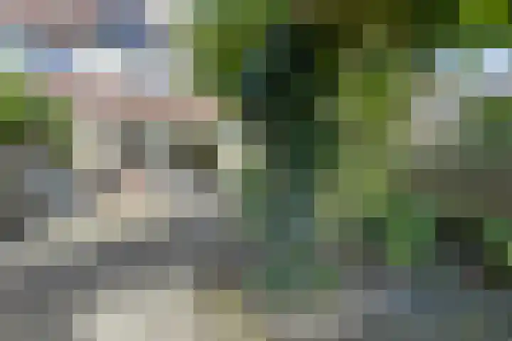 Florapad 18 Velserbroek thumbnail 40