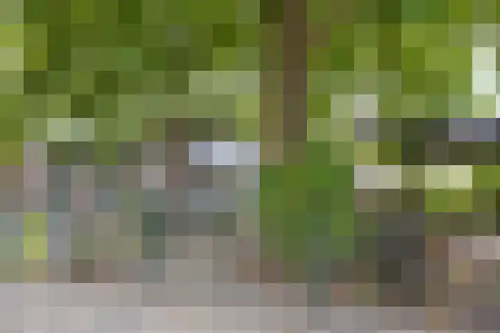 Florapad 18 Velserbroek thumbnail 43