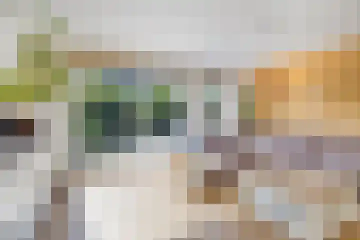 Florapad 18 Velserbroek thumbnail 5