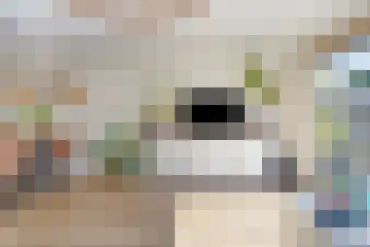 Florapad 18 Velserbroek thumbnail 7