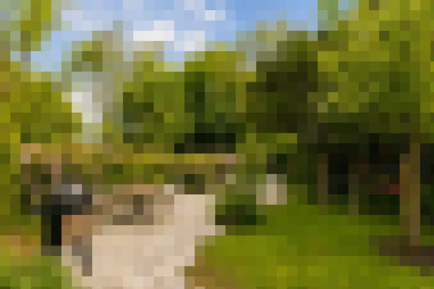 Florapark 10 Haarlem thumbnail 11