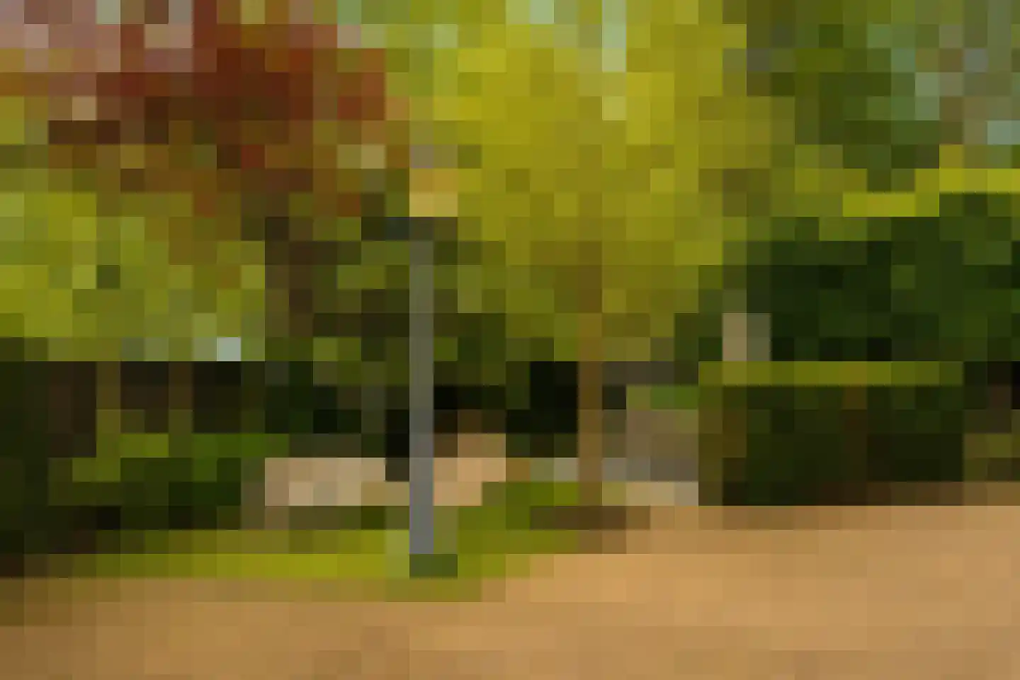 Florapark 10 Haarlem thumbnail 12