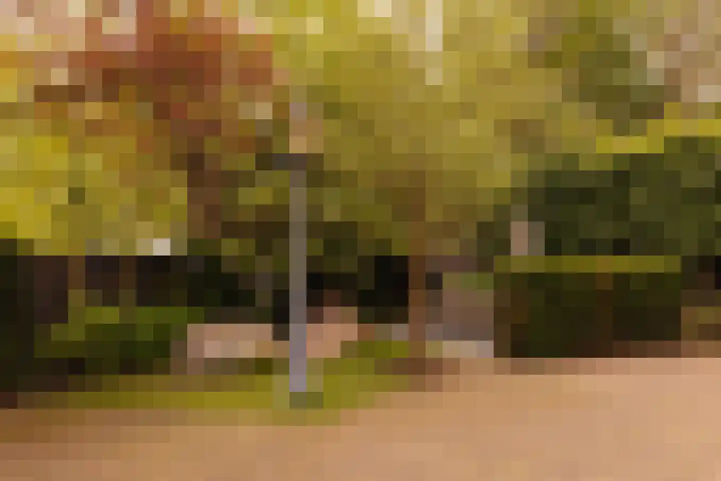 Florapark 10 Haarlem thumbnail 27