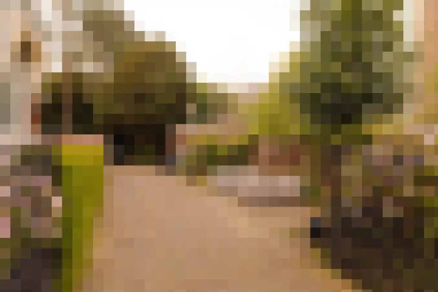 Florapark 10 Haarlem thumbnail 28