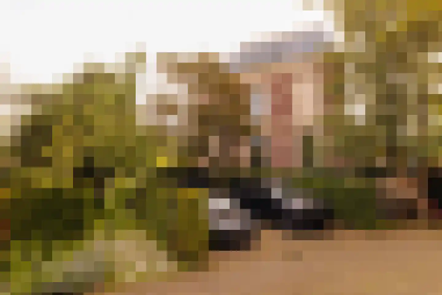 Florapark 10 Haarlem thumbnail 30
