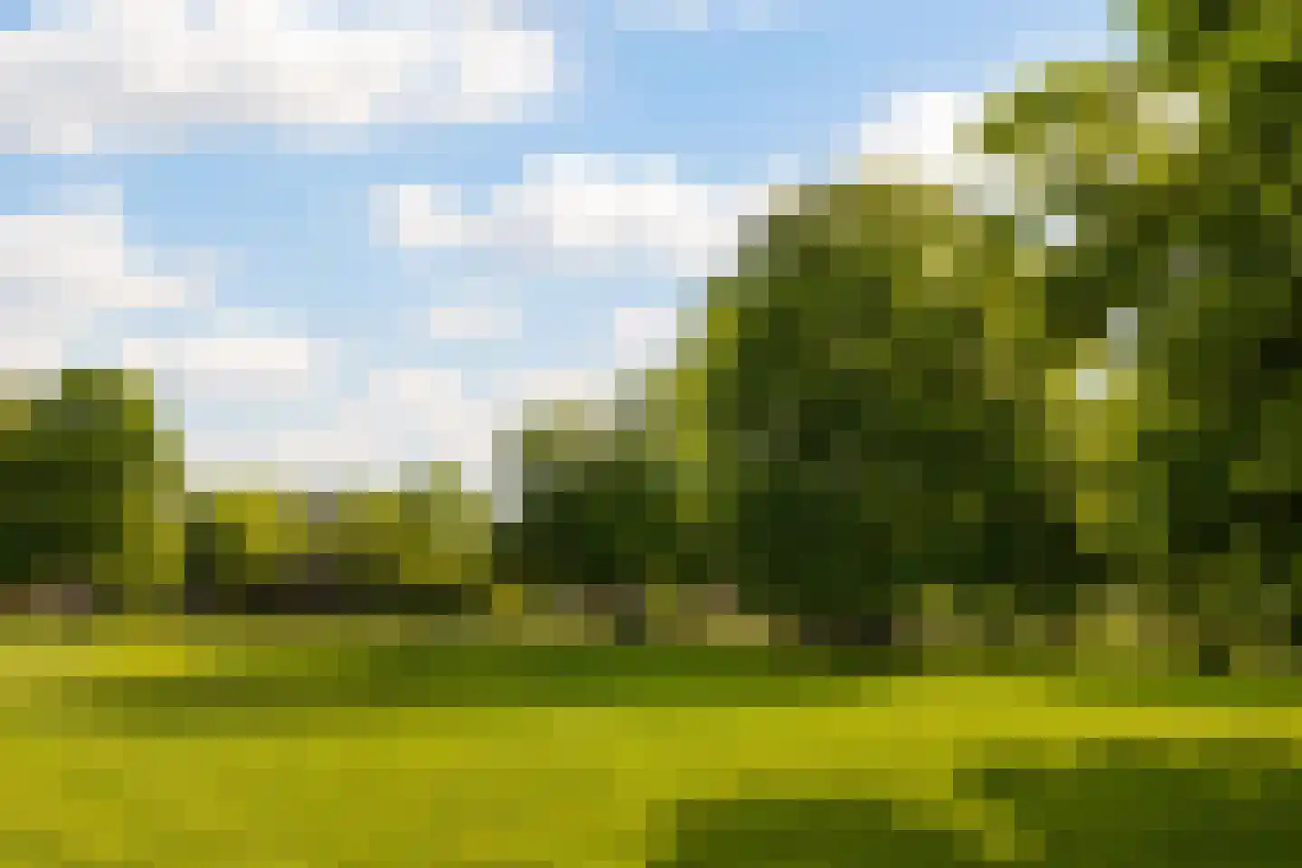 Florapark 10 Haarlem thumbnail 33