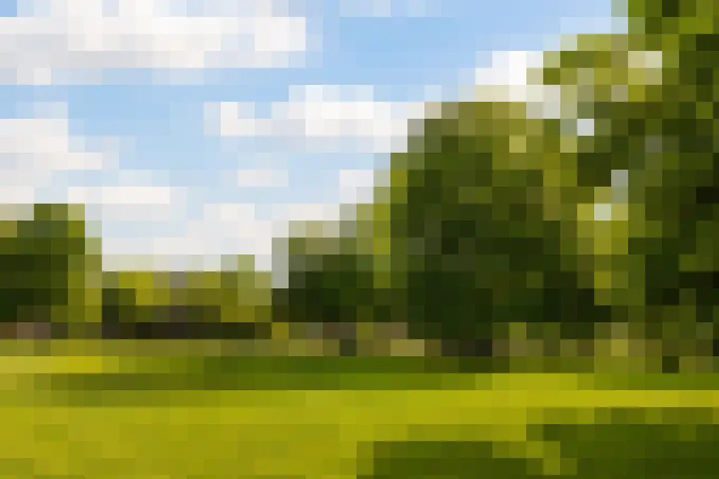 Florapark 10 Haarlem thumbnail 34