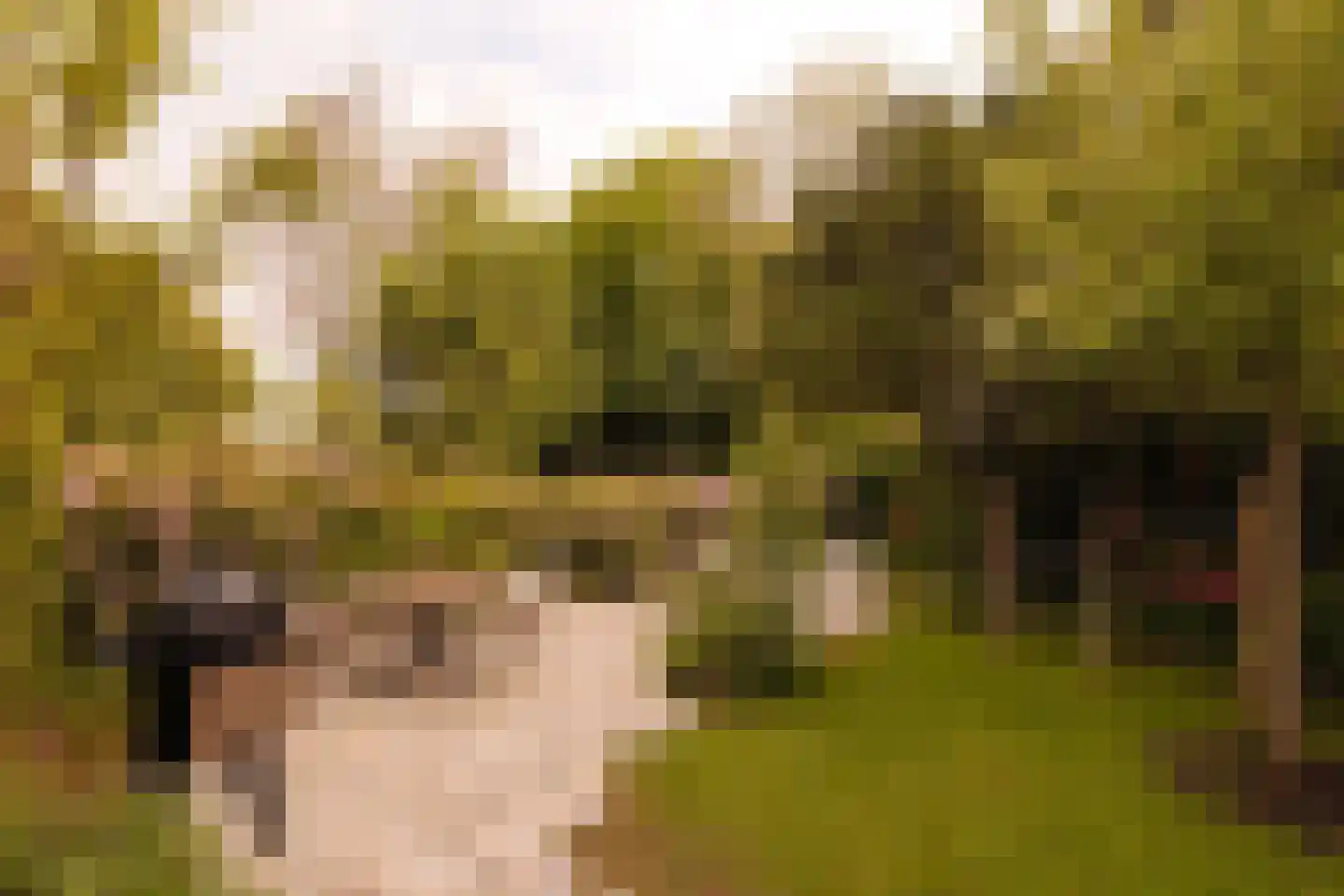 Florapark 10 Haarlem thumbnail 5