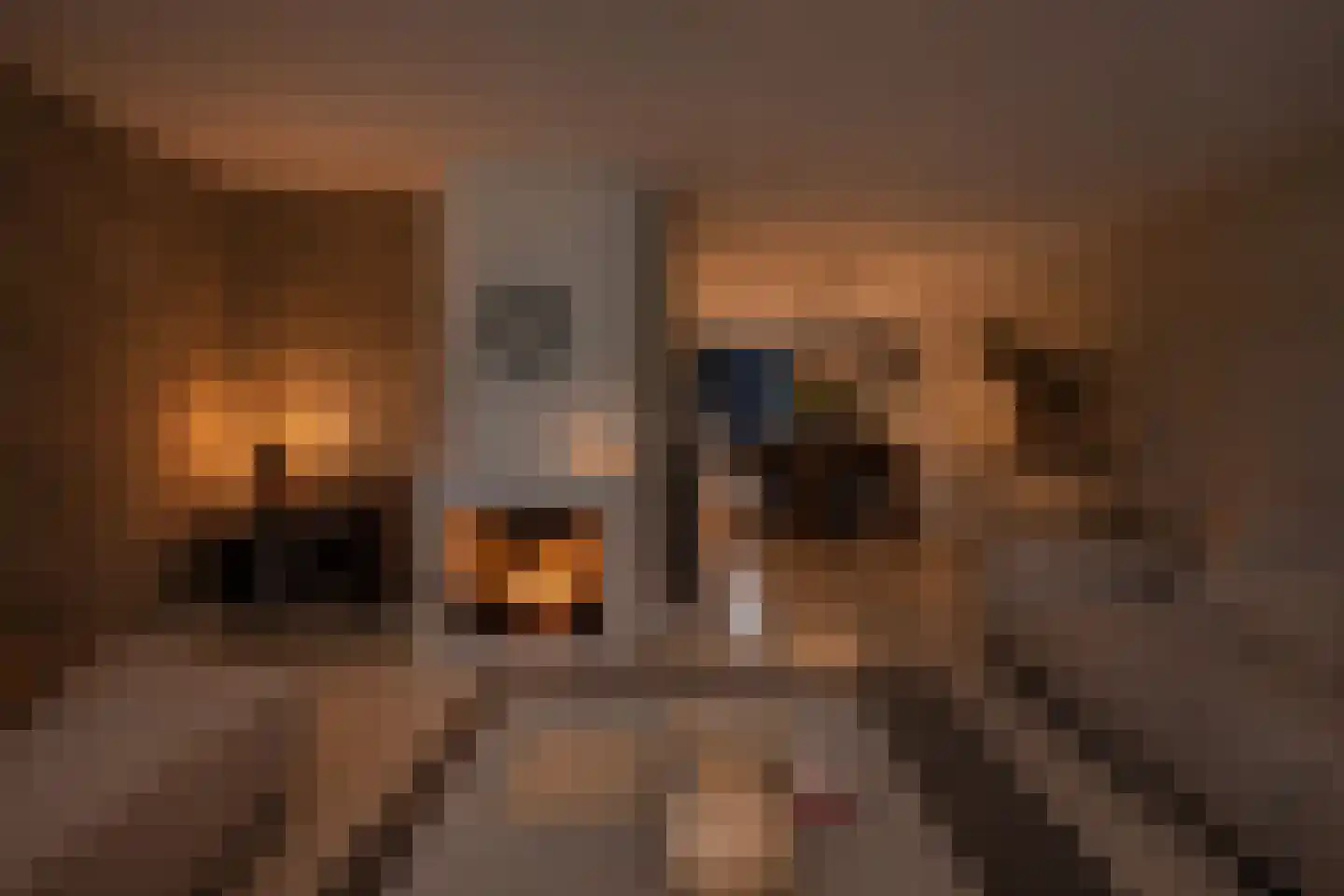 Florapark 38 Eindhoven thumbnail 11