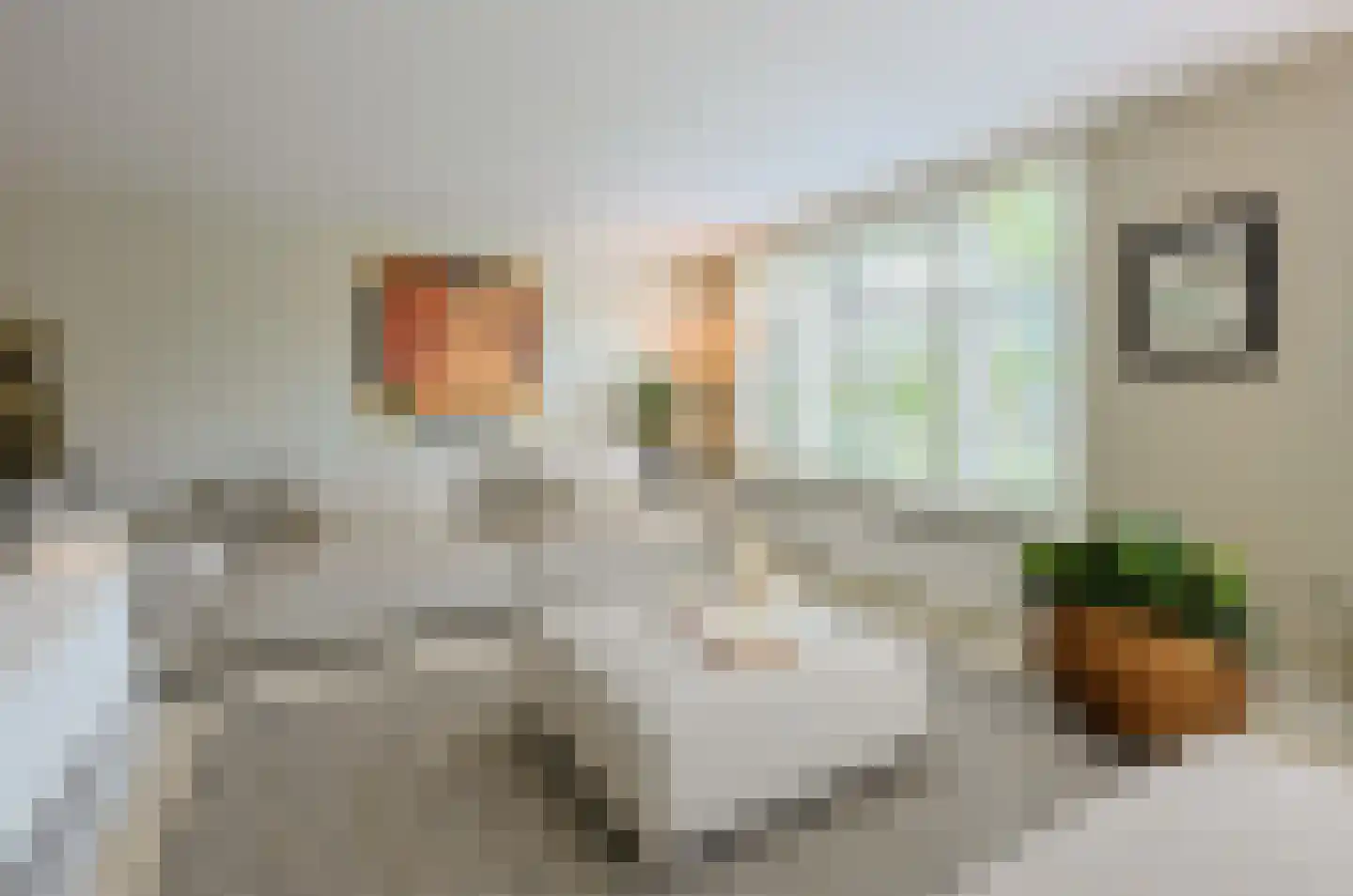 Florapark 38 Eindhoven thumbnail 14