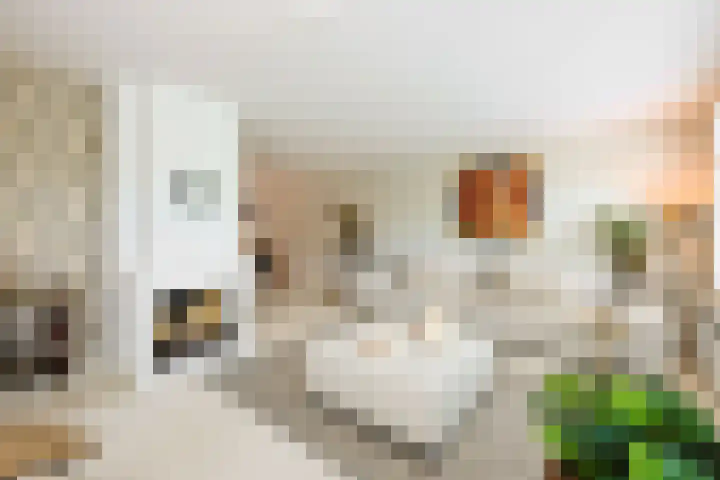 Florapark 38 Eindhoven thumbnail 15