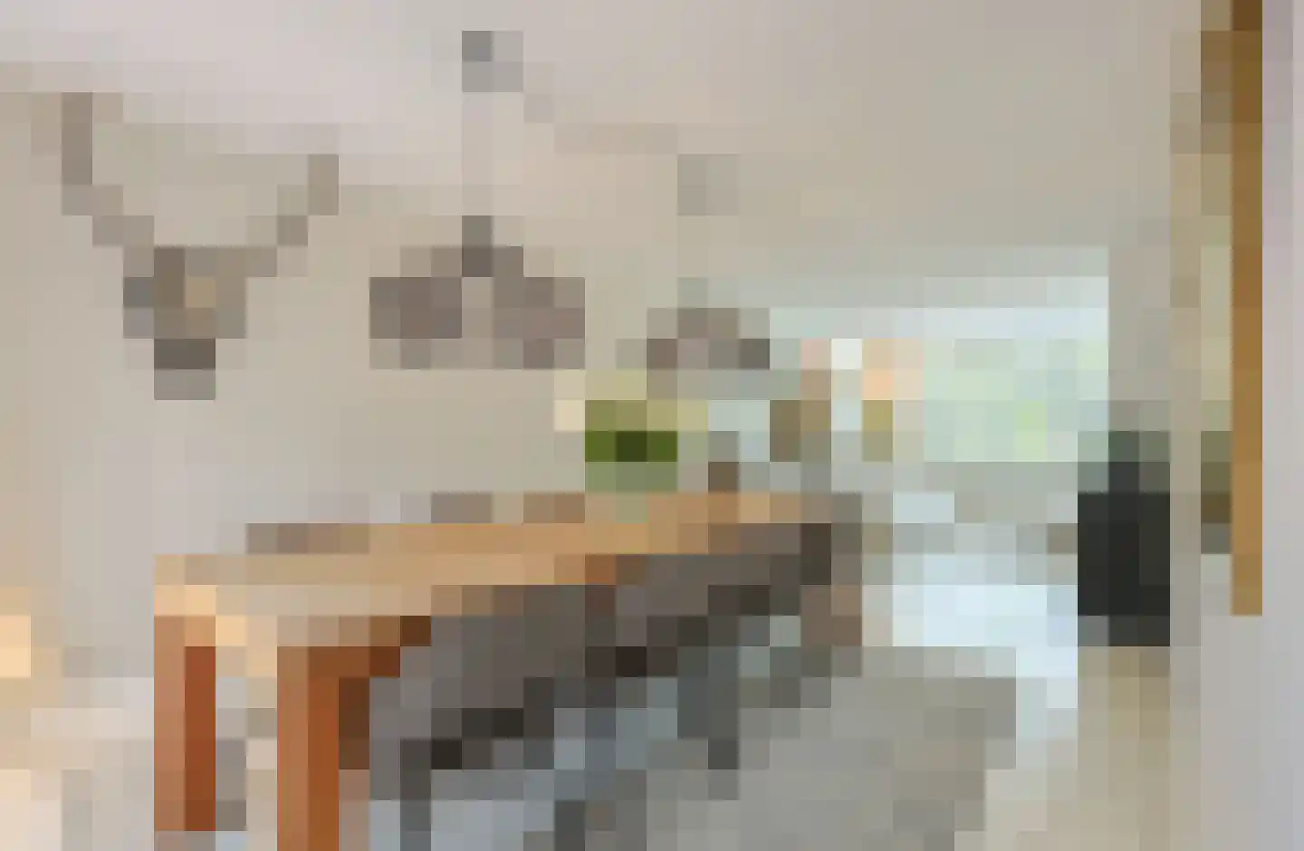 Florapark 38 Eindhoven thumbnail 19