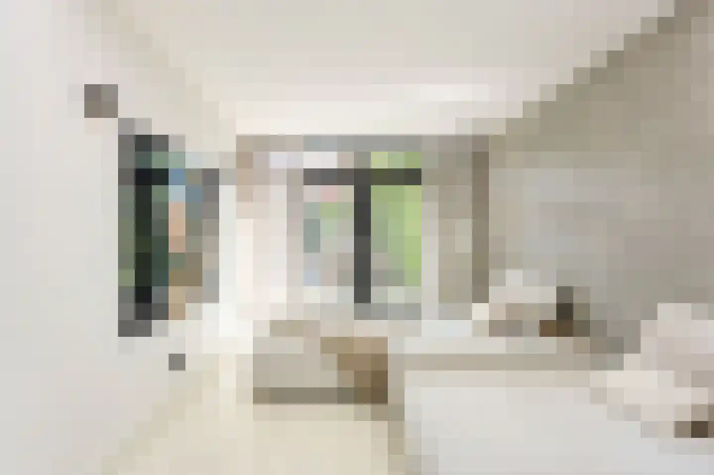 Florapark 38 Eindhoven thumbnail 20