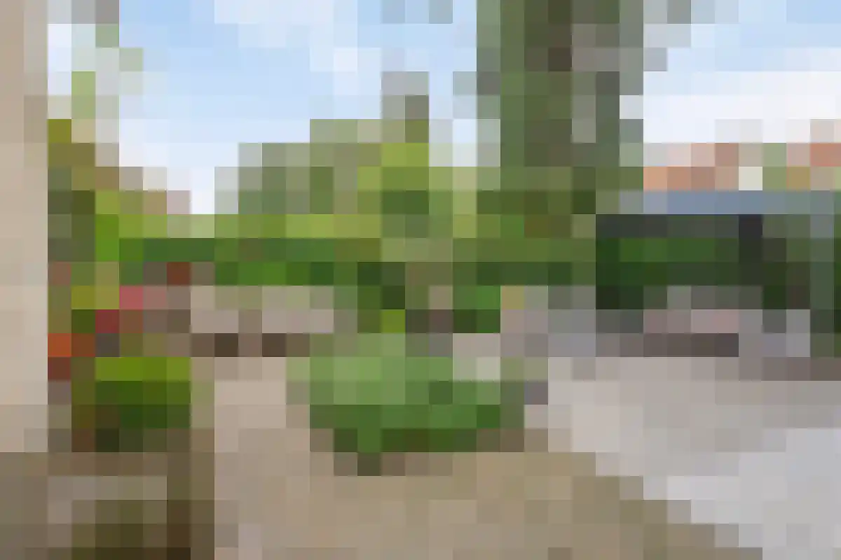 Florapark 38 Eindhoven thumbnail 49