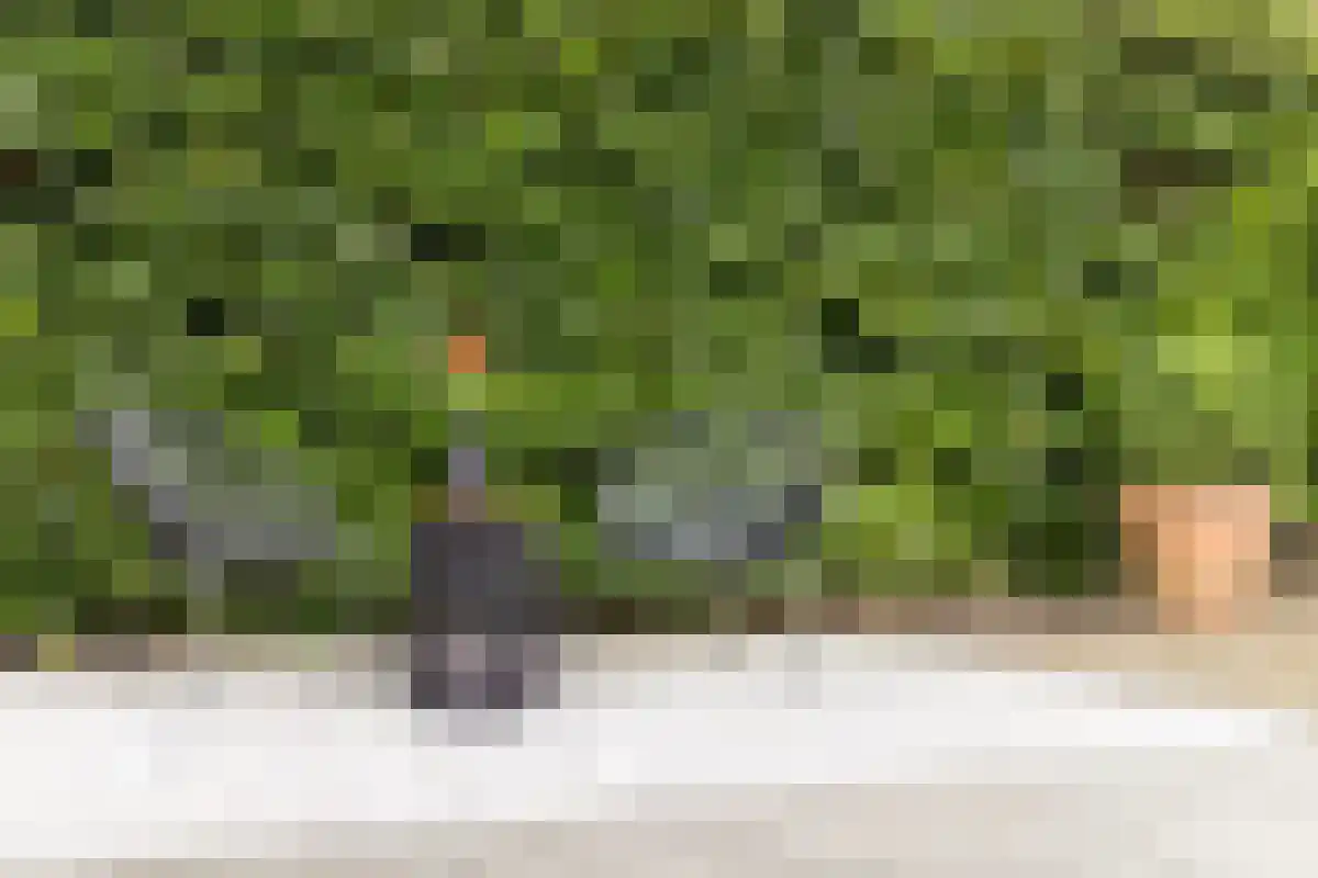 Florapark 38 Eindhoven thumbnail 51