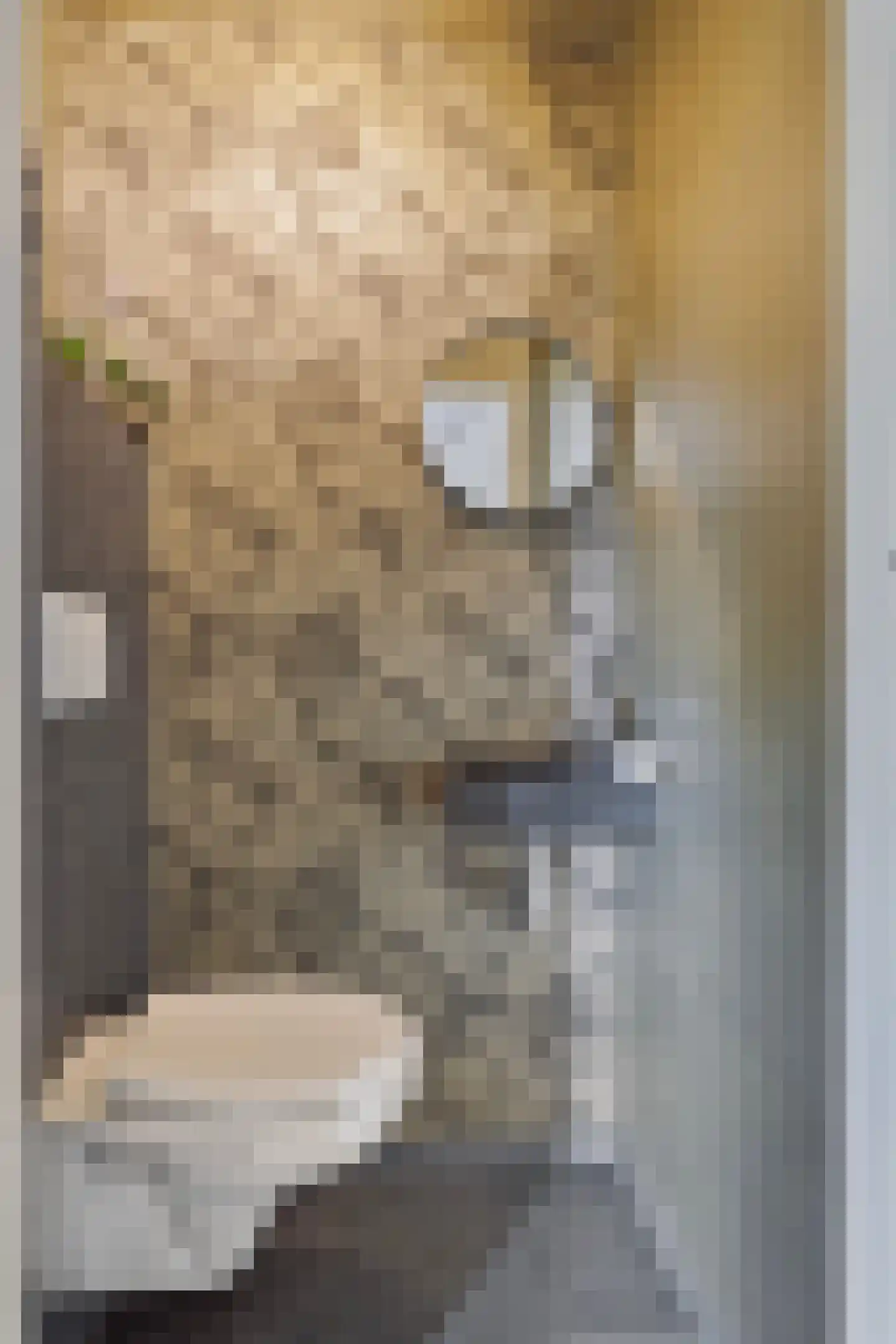 Florapark 38 Eindhoven thumbnail 9