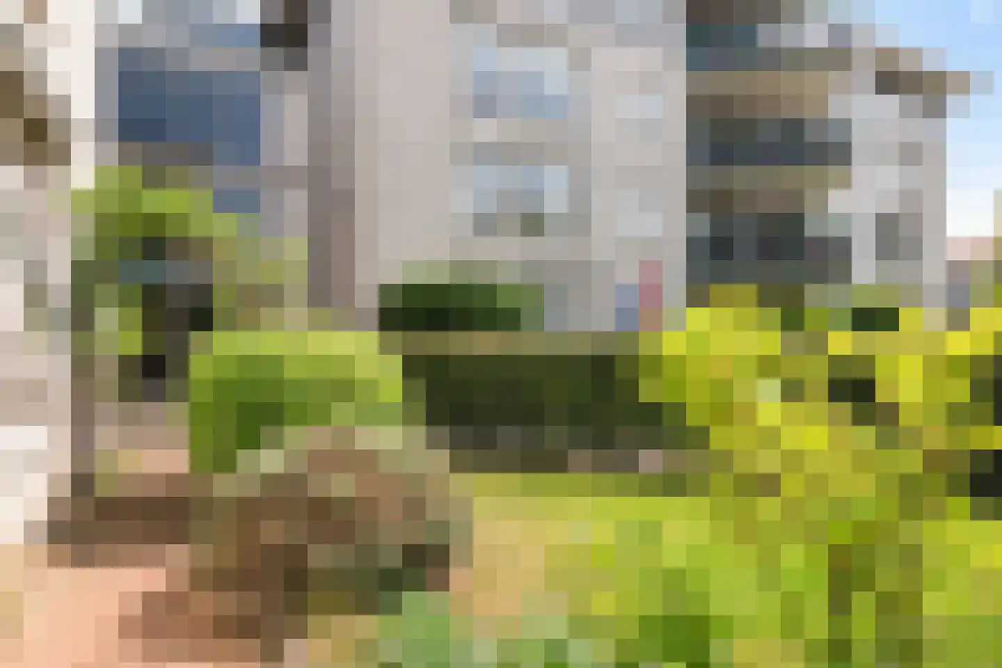 Floraplein 1 Hillegom thumbnail 12