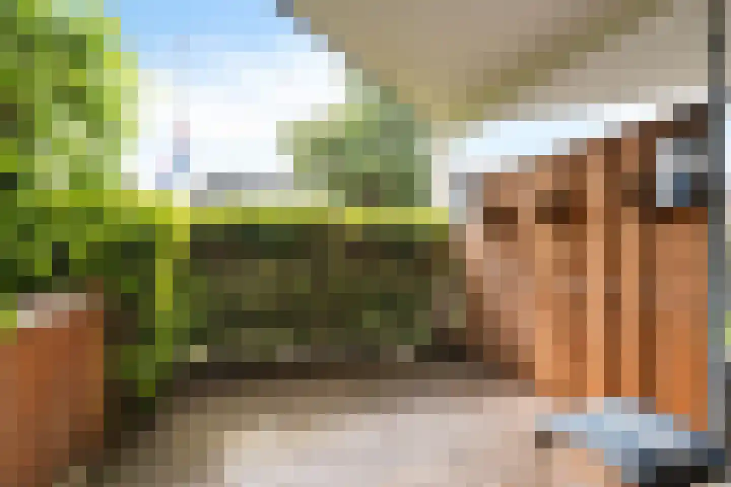 Floraplein 1 Hillegom thumbnail 19