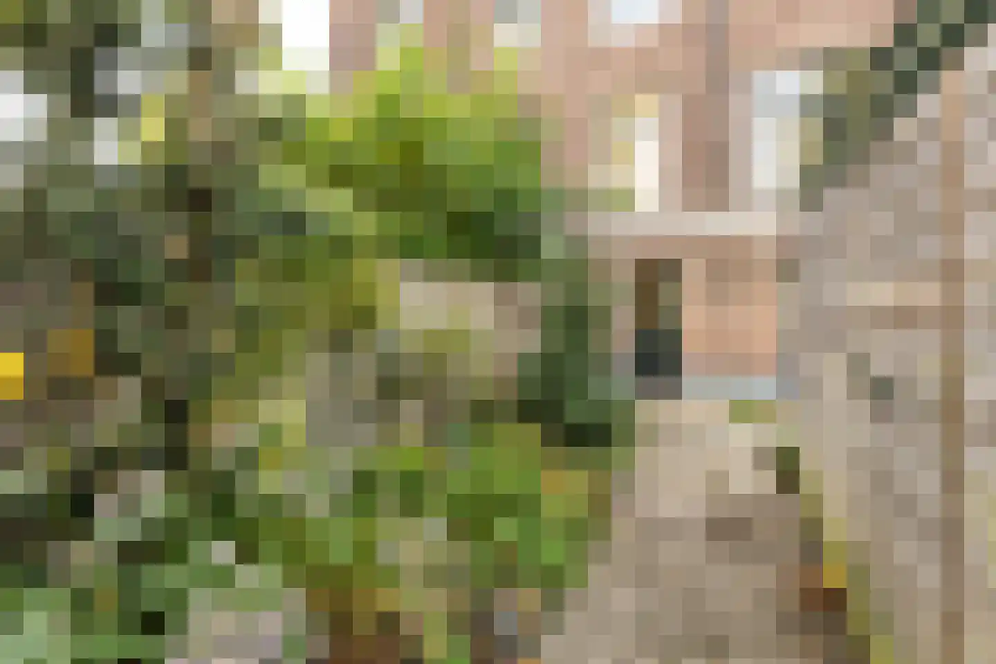Floraplein 2 Haarlem thumbnail 42