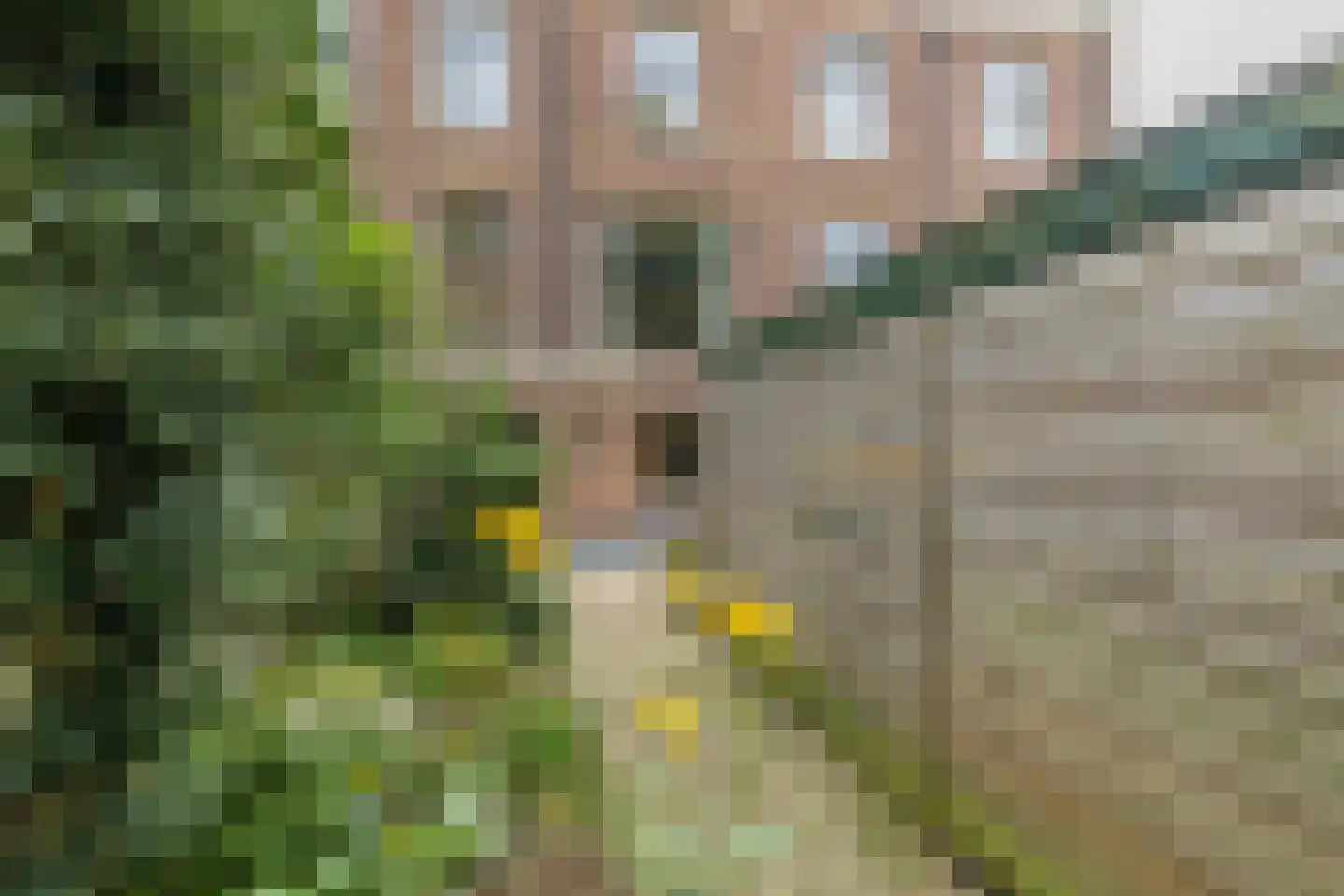 Floraplein 2 Haarlem thumbnail 46