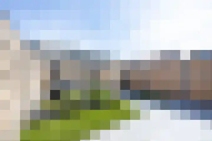 Floraronde 12 Velserbroek thumbnail 10