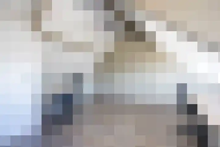 Floraronde 12 Velserbroek thumbnail 20