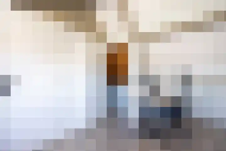 Floraronde 12 Velserbroek thumbnail 22