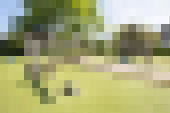 Floraronde 12 Velserbroek thumbnail 23